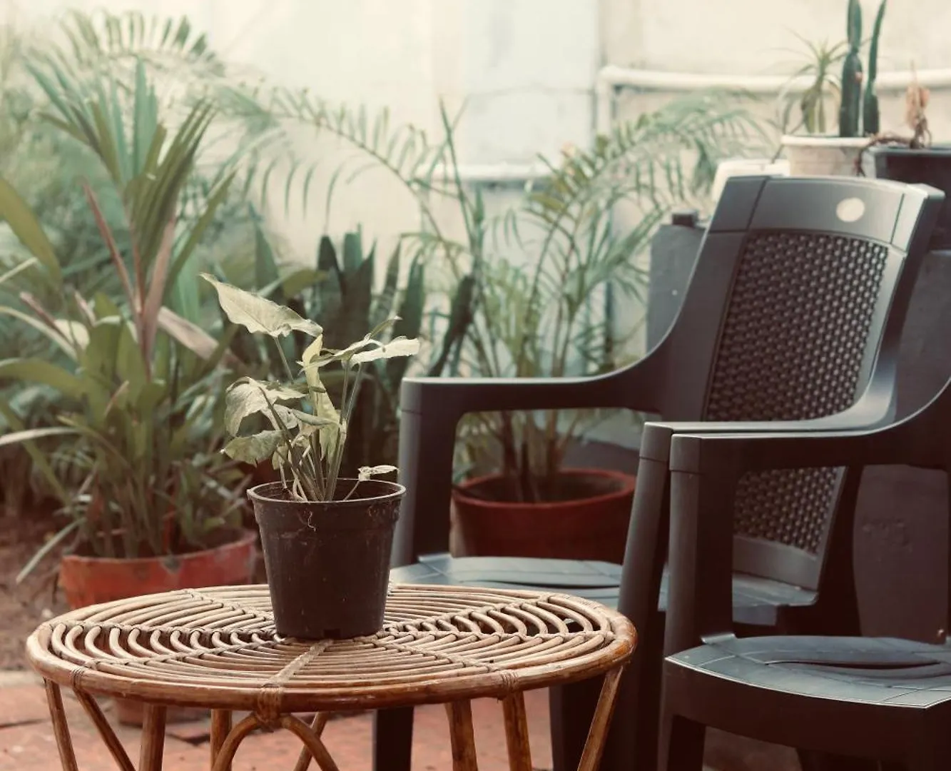 Aparthotel Aquaterra Comfy Stay Varkala Beach Indie