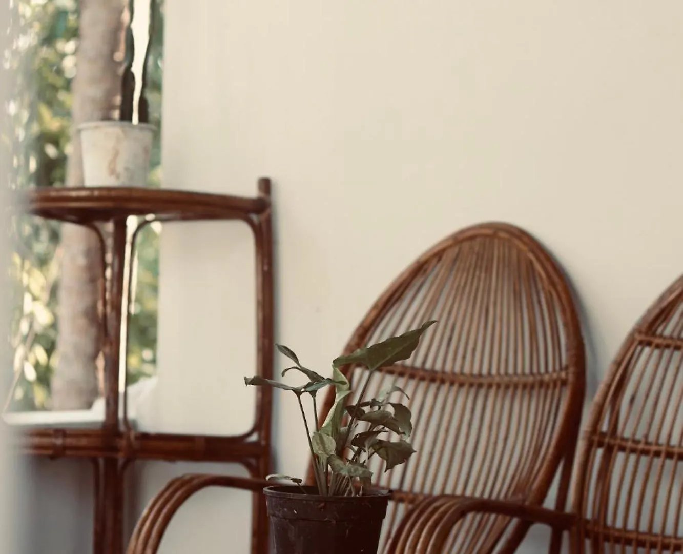Aquaterra Comfy Stay Varkala Beach Aparthotel
